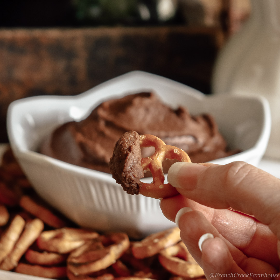 Brownie batter hummus pairs wonderfully with pretzels for a sweet and salty treat