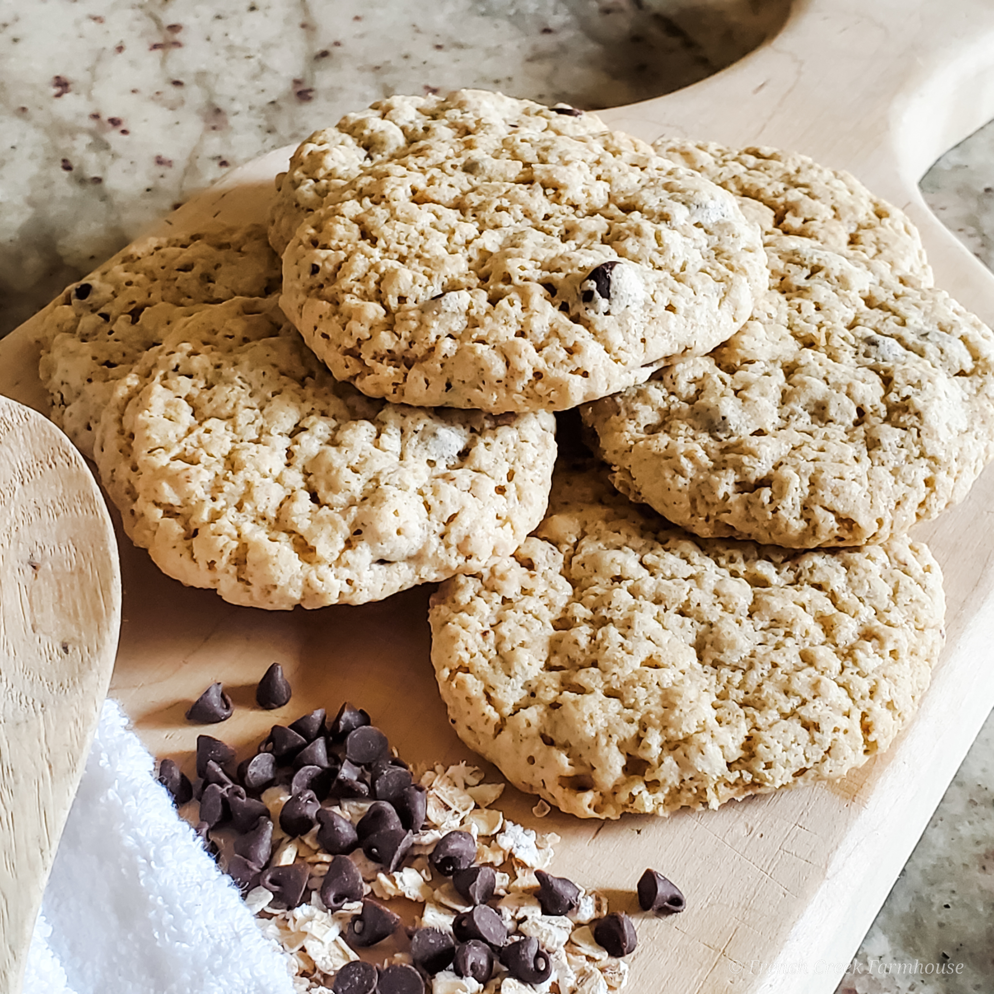 Vegan Oatmeal Chocolate Chip Cookies