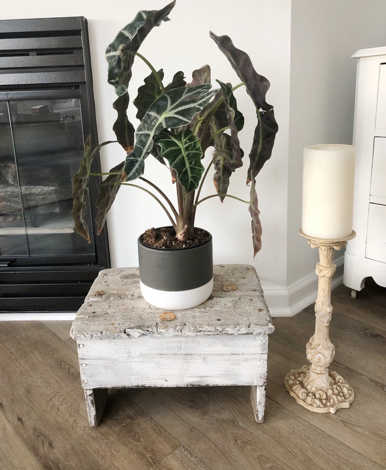 25 of the most beautiful pieces of farmhouse and vintage decor for your woods and whites design aesthetic