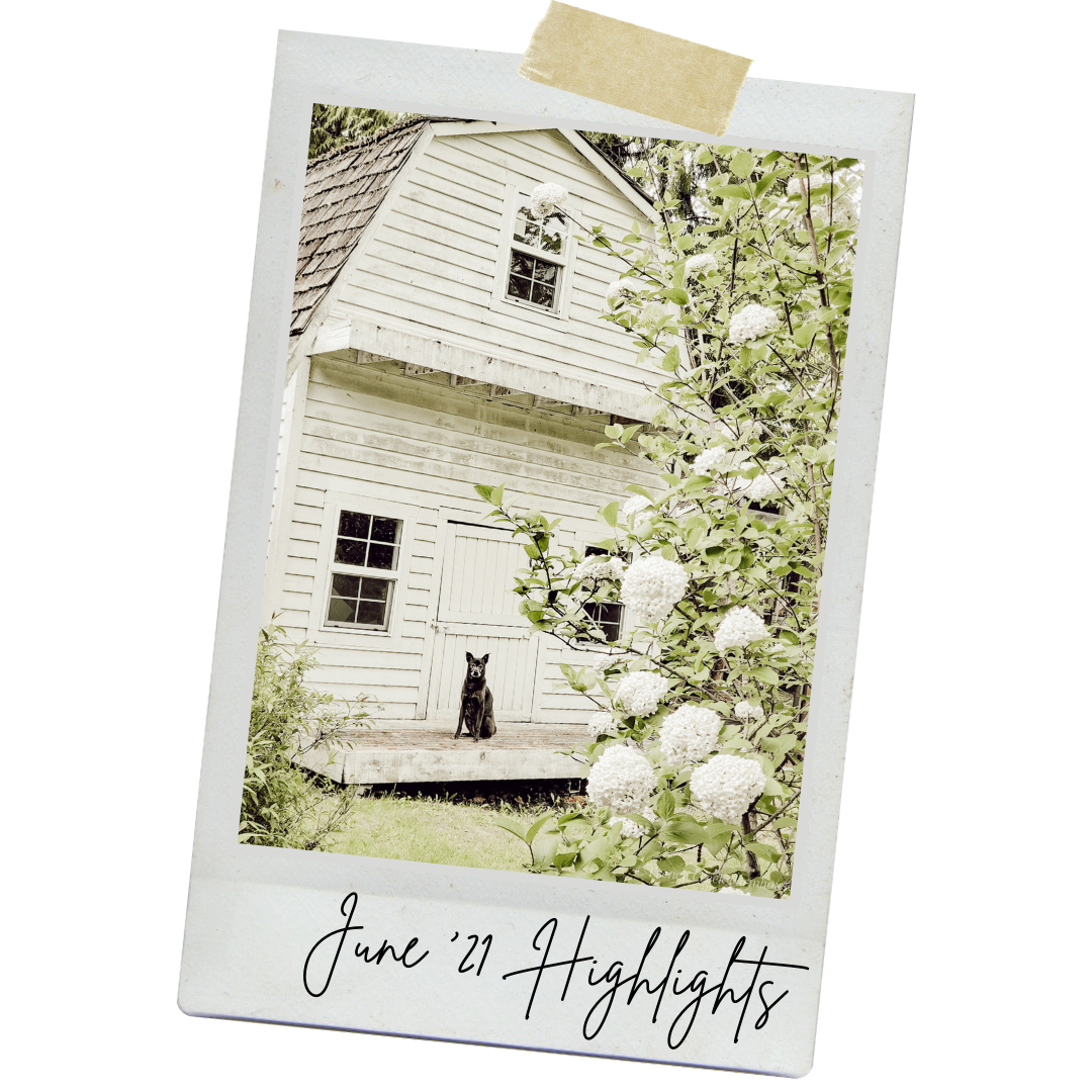 A monthly journal of our experience living with dysautonomia