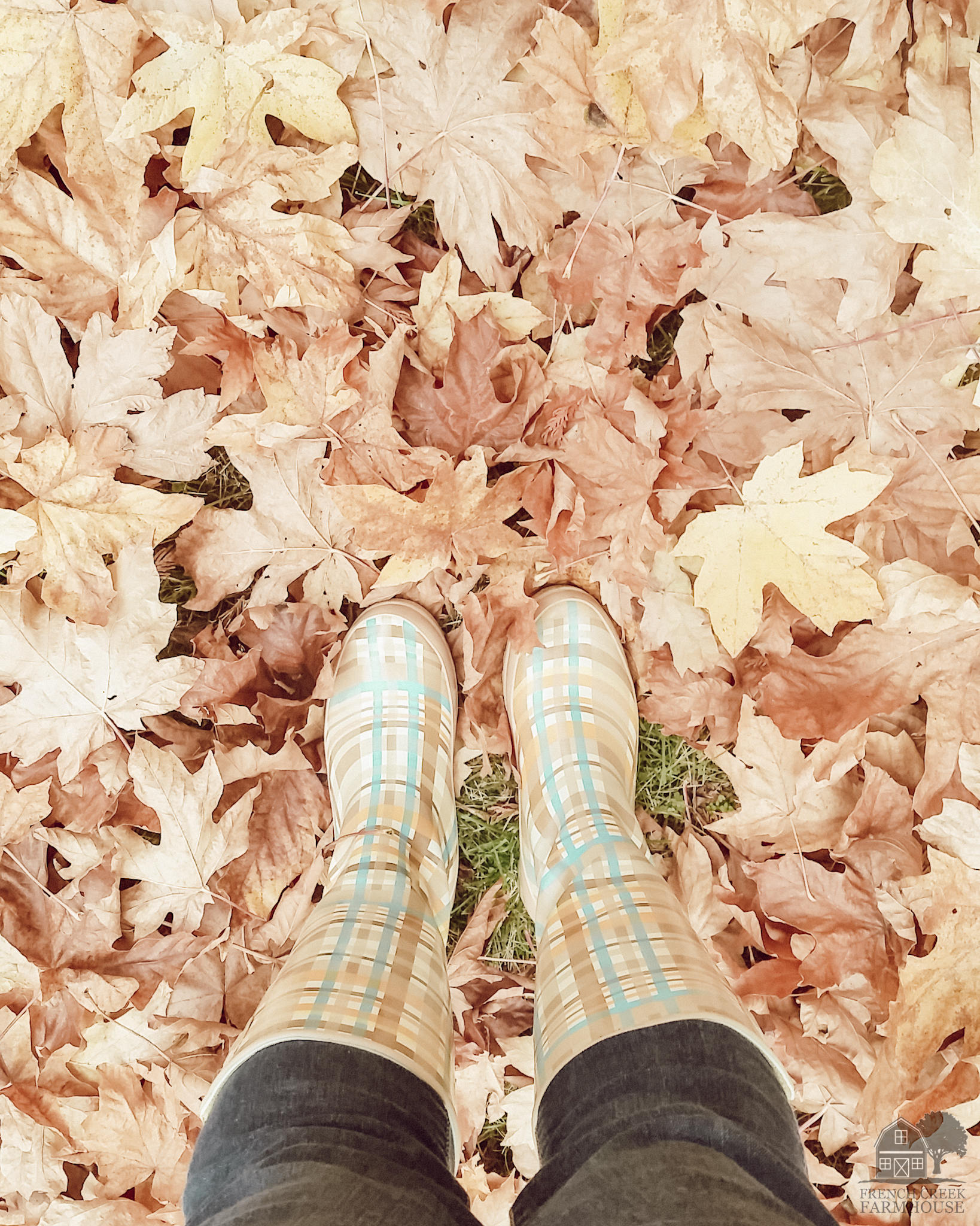 Rainboots standing in autumn leaves