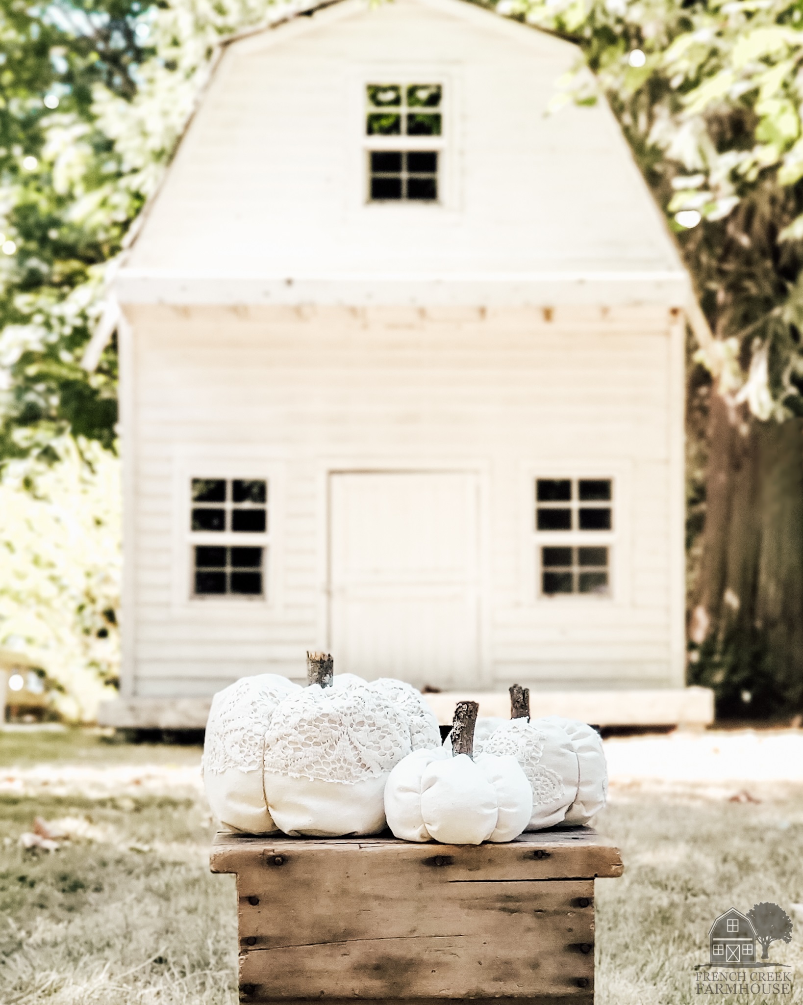 Rustic pumpkins in front of a white barn are the perfect symbol of autumn harvest