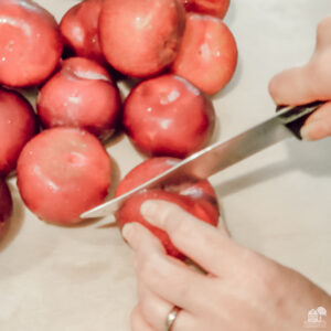 Slice plums to remove pits