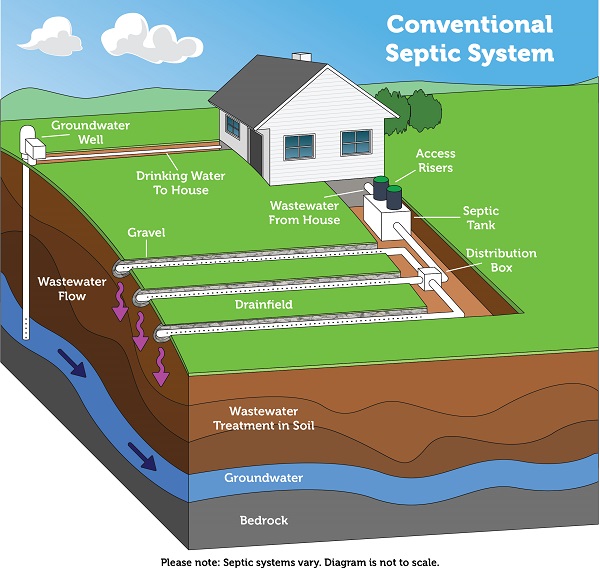 This diagram shows how a basic home septic system works
