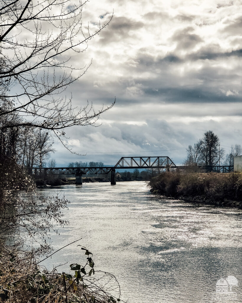 The Snohomish River in wintertime