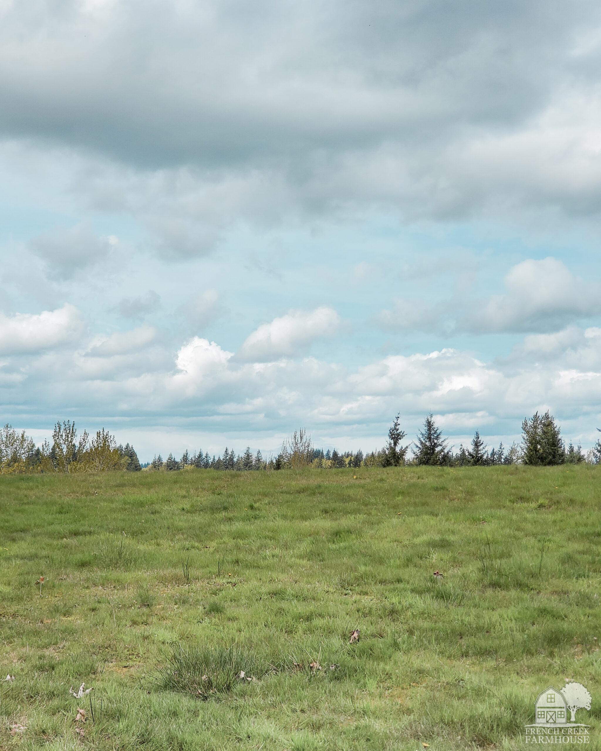 Our view over the pasture in springtime