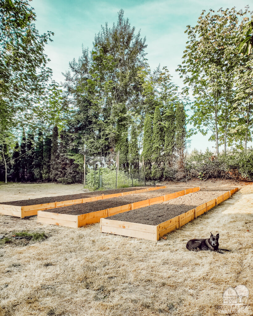 Raised beds are easy to build and make gardening much easier