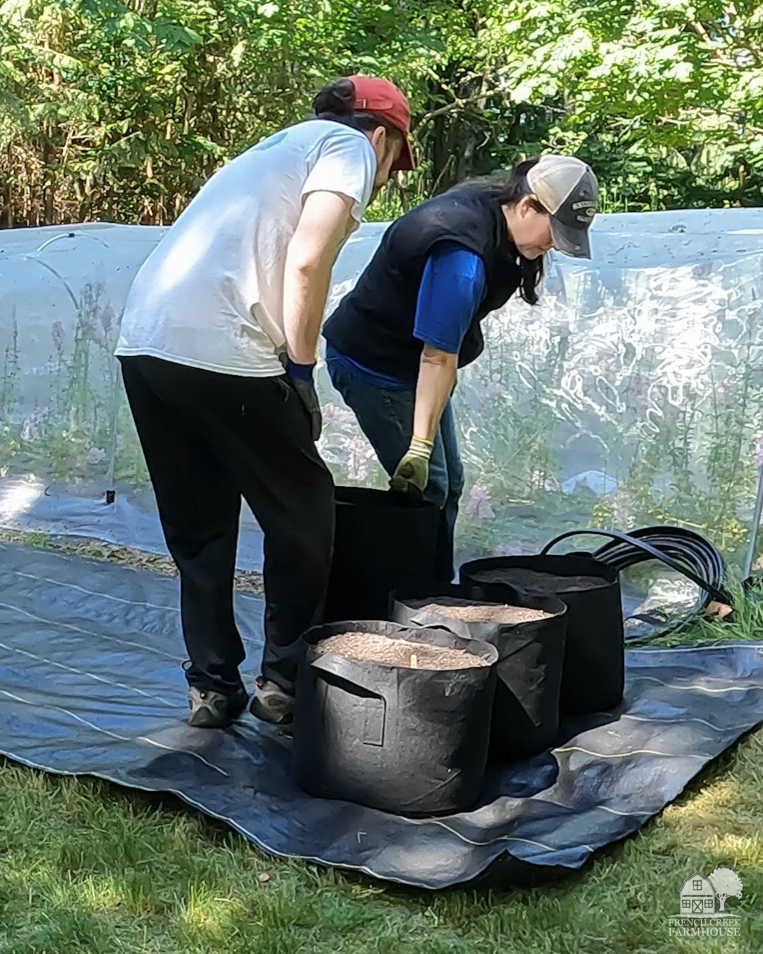 Moving grow bags is easy with the attached handles