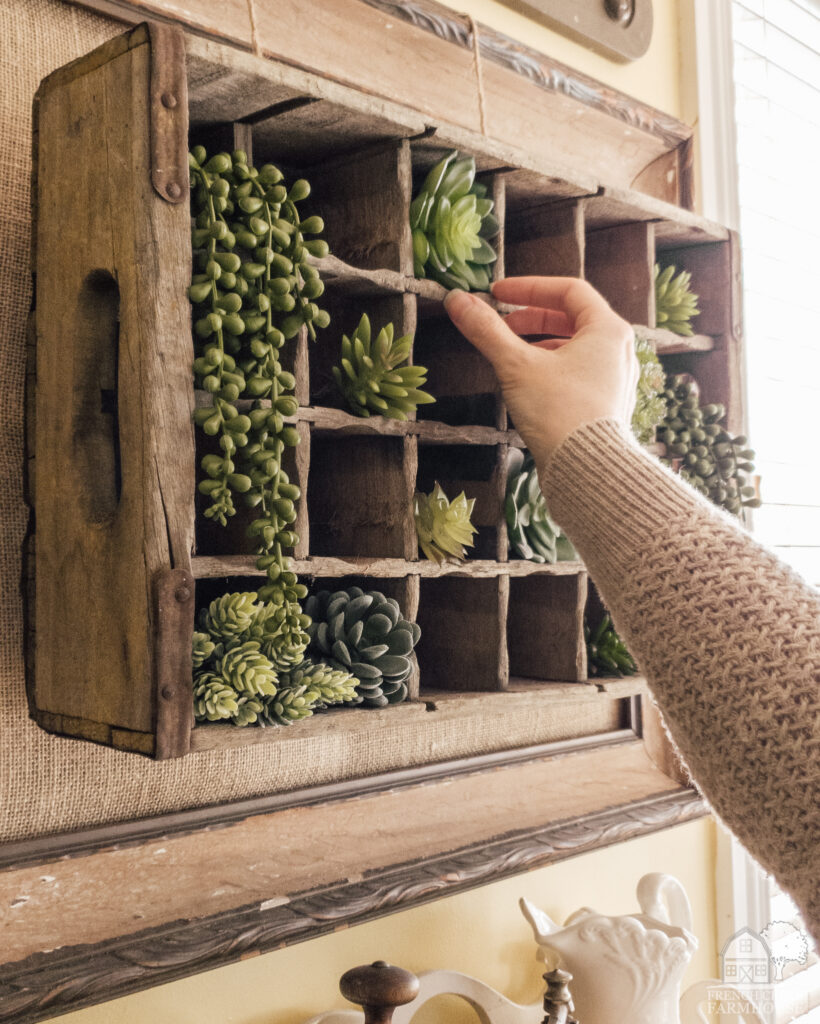 Succulent Wall Art Arrangement