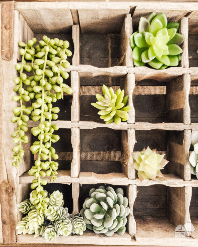 Add a variety of succulents to a vintage wooden crate for easy rustic decor