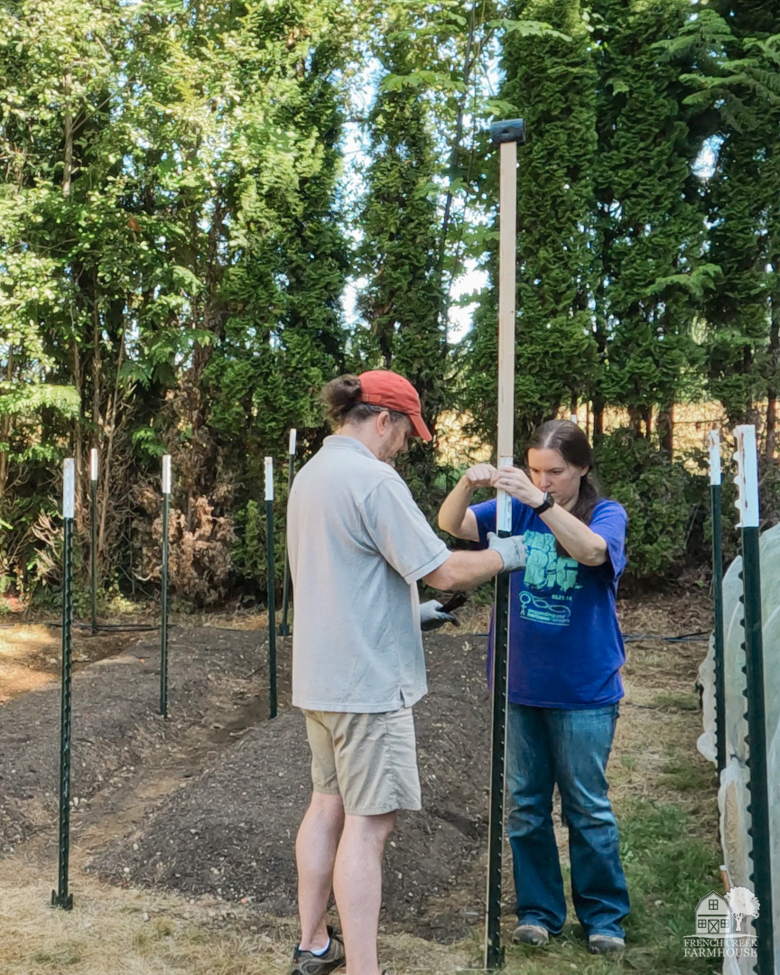 During the growing season, we put bird netting over our beds, and this is an easy way to do it.