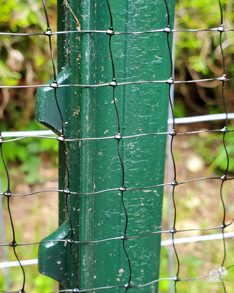 Bird netting can help to protect your garden, but only if you do it the right way!