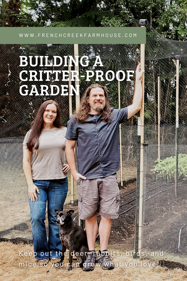 We built a fully enclosed and critter proof garden in six days--here's how!