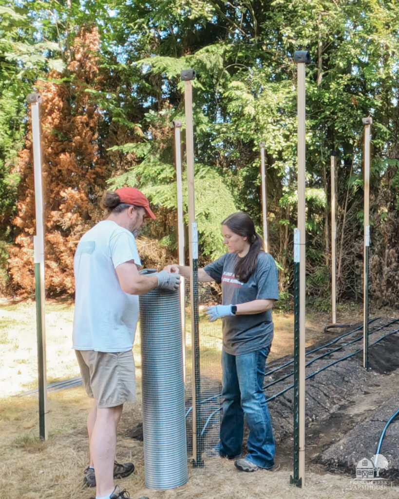 We built our enclosed garden with metal fencing so it would last for years.