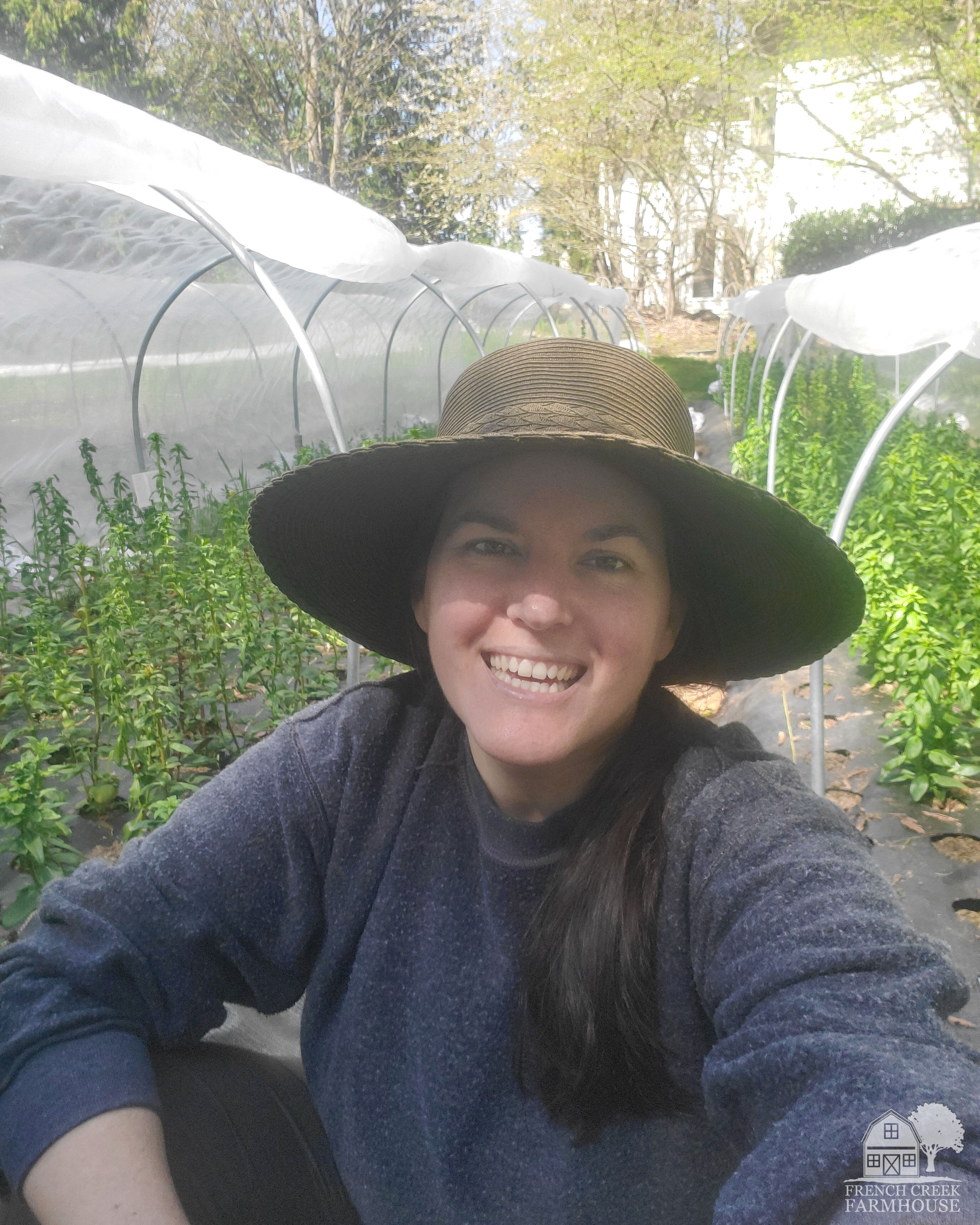 Tending to our overwintered snapdragons in early spring is a sign that a new year is just beginning