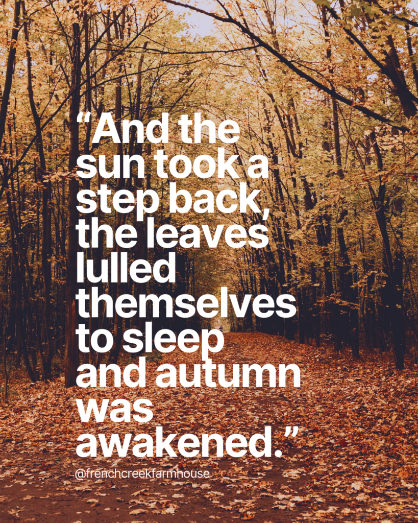 Summer to fall transition quote - And the sun took a step back, the leaves lulled themselves to sleep and autumn was awakened.