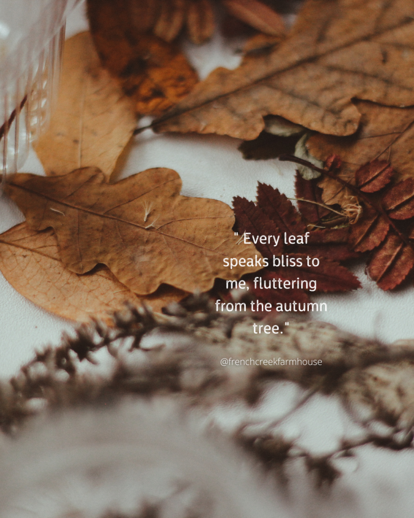 Summer to fall transition quote - Every leaf speaks bliss to me, fluttering from the autumn tree.