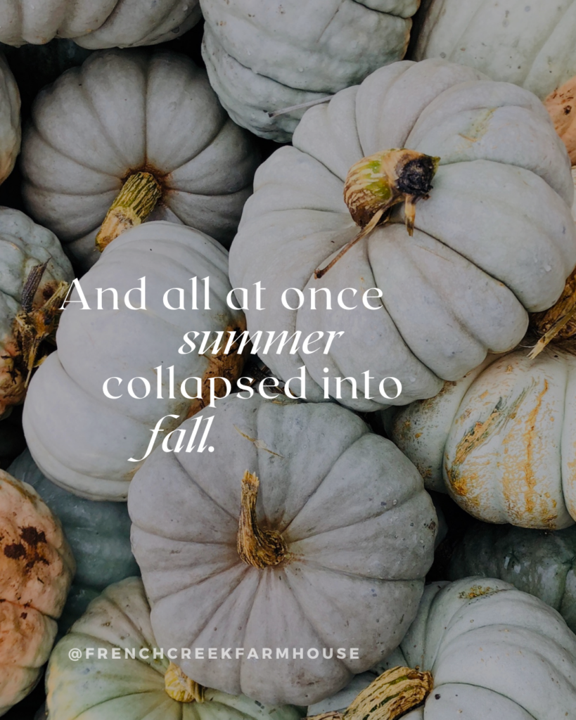 Summer to fall transition quote - And all at once summer collapsed into fall