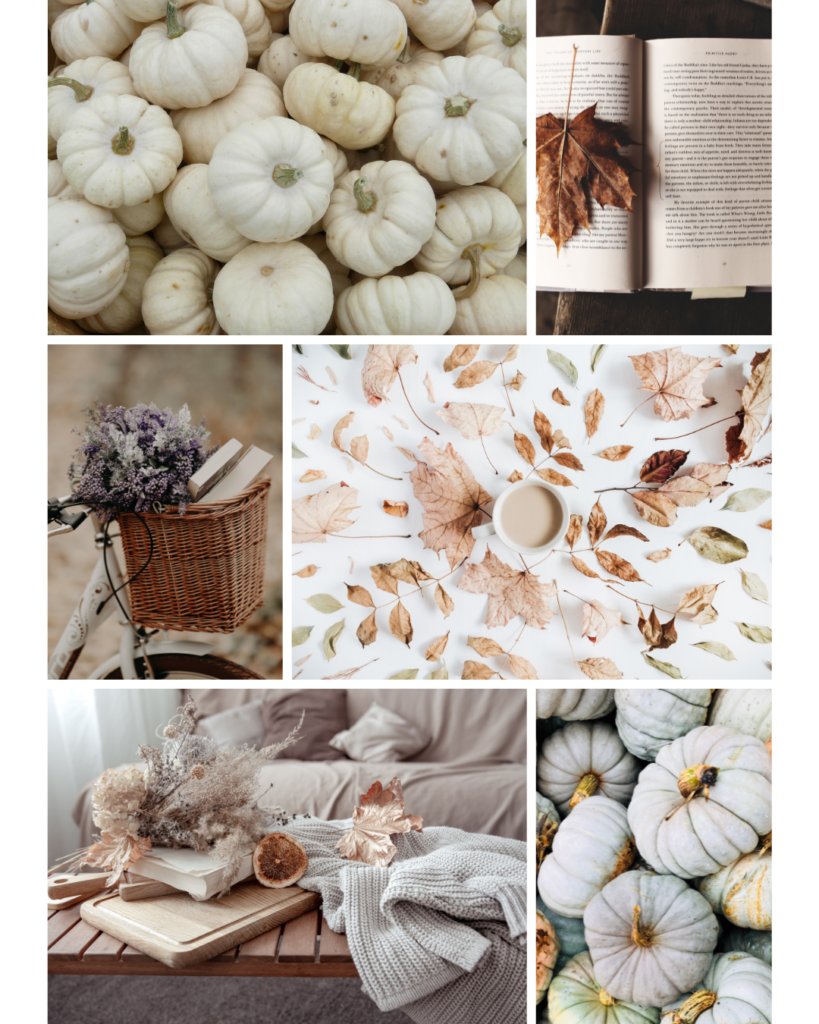 The transition from summer to fall includes so many cozy things from pumpkins and sweaters, to crunchy leaves and warm tea.