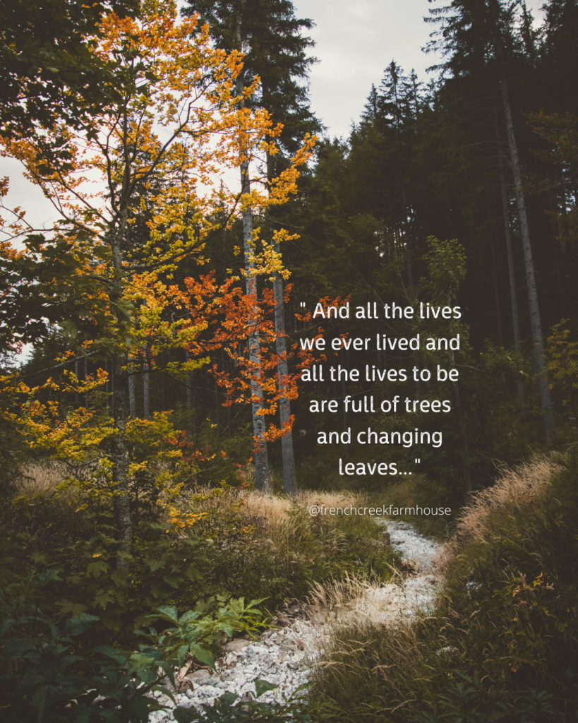 Summer to fall transition quote - And all the lives we ever lived and all the lives to be are full of trees and changing leaves…