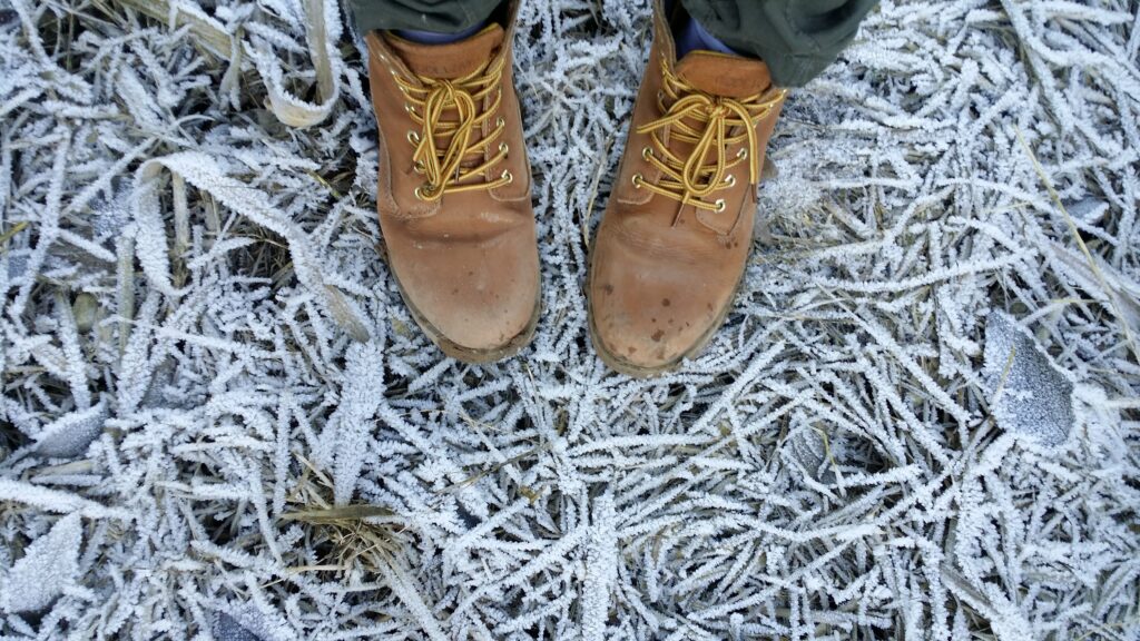 Vegetable gardening in wintertime can help to improve well-being while also providing you with fresh produce all year long.