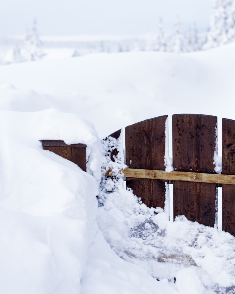 Knowing how to manage snow is essential to winter vegetable gardening