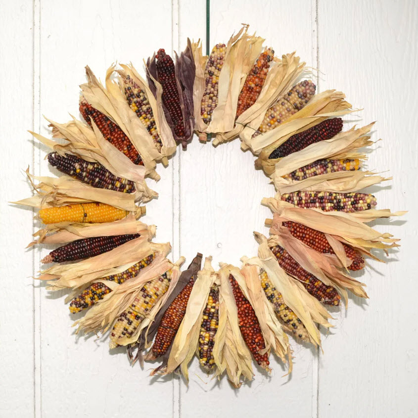 Made from miniature ears of ornamental corn, this 18" wreath is perfect for autumn and Thanksgiving celebrations.