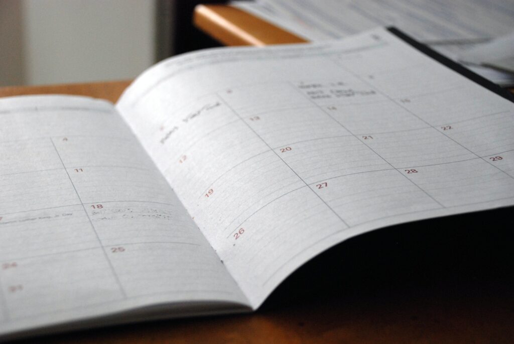 To have a flourishing winter garden, you need to plan your garden schedule carefully