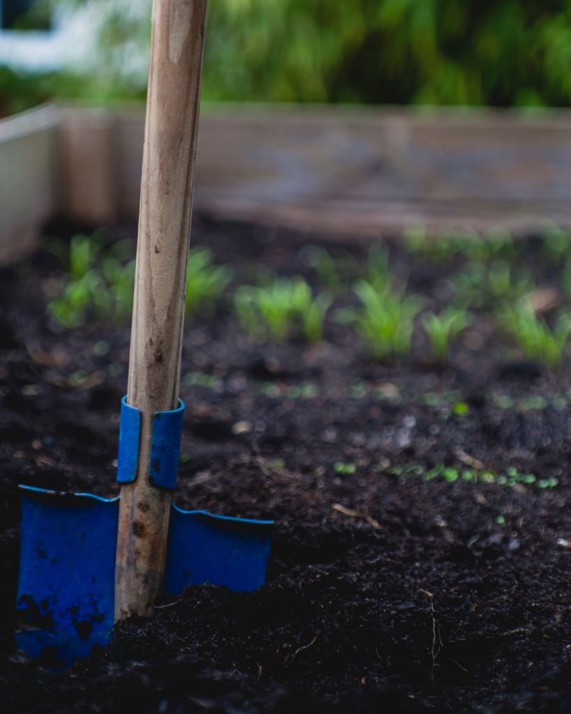 Preparing your garden's soil is the key to having a successful harvest