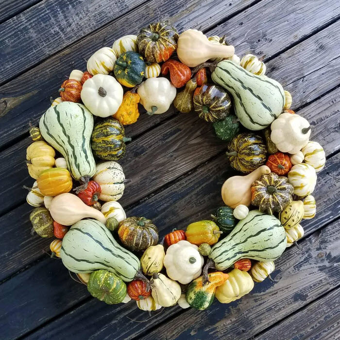 Pumpkins, and gourds, and fall vibes--oh my!