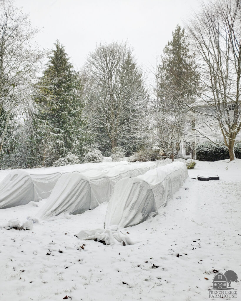 Row covers and frost cloth will protect your winter vegetable garden from cold and snow