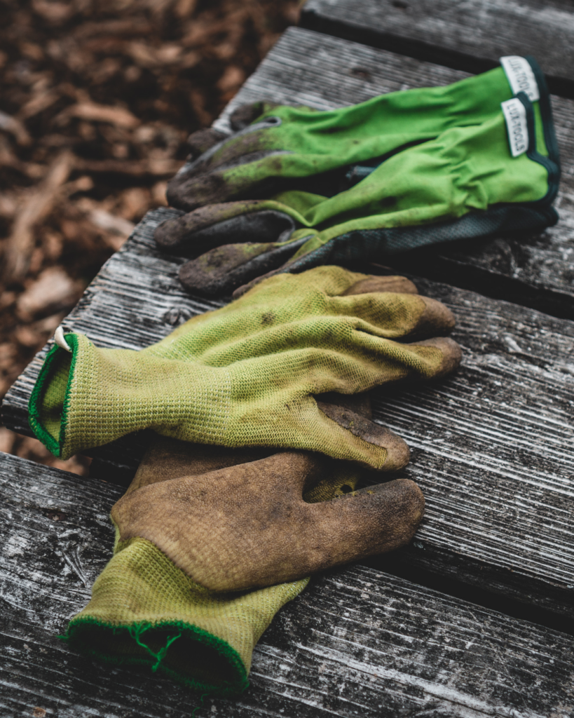 Winter vegetable gardening