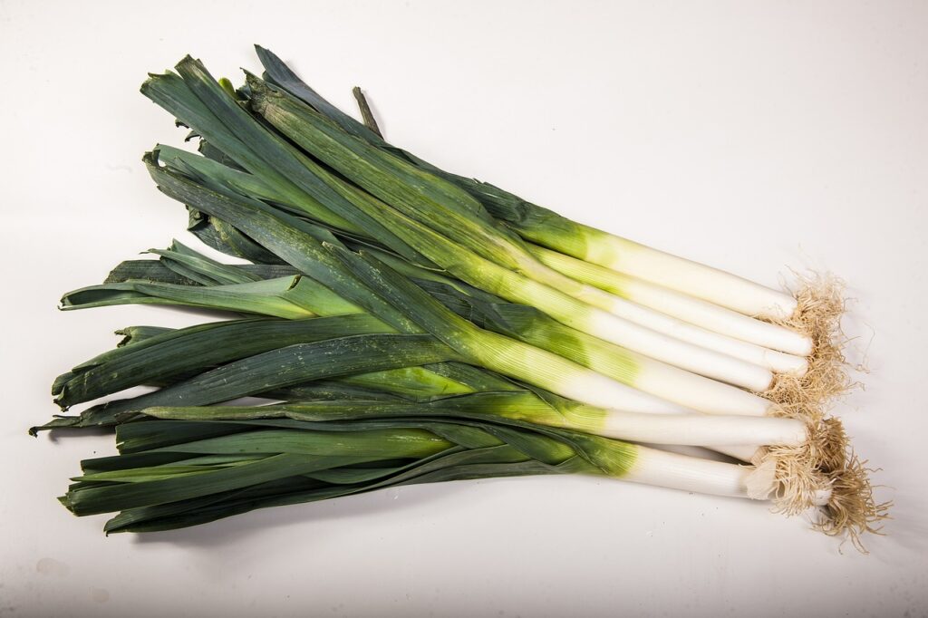 Leeks are easy to grow in winter