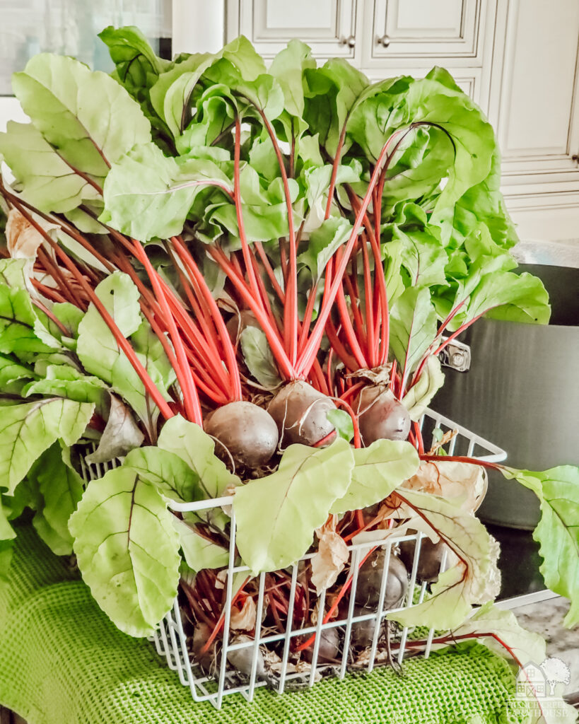 The sweetest and most flavorful beets are grown in cold weather and make the perfect addition to your winter vegetable garden.