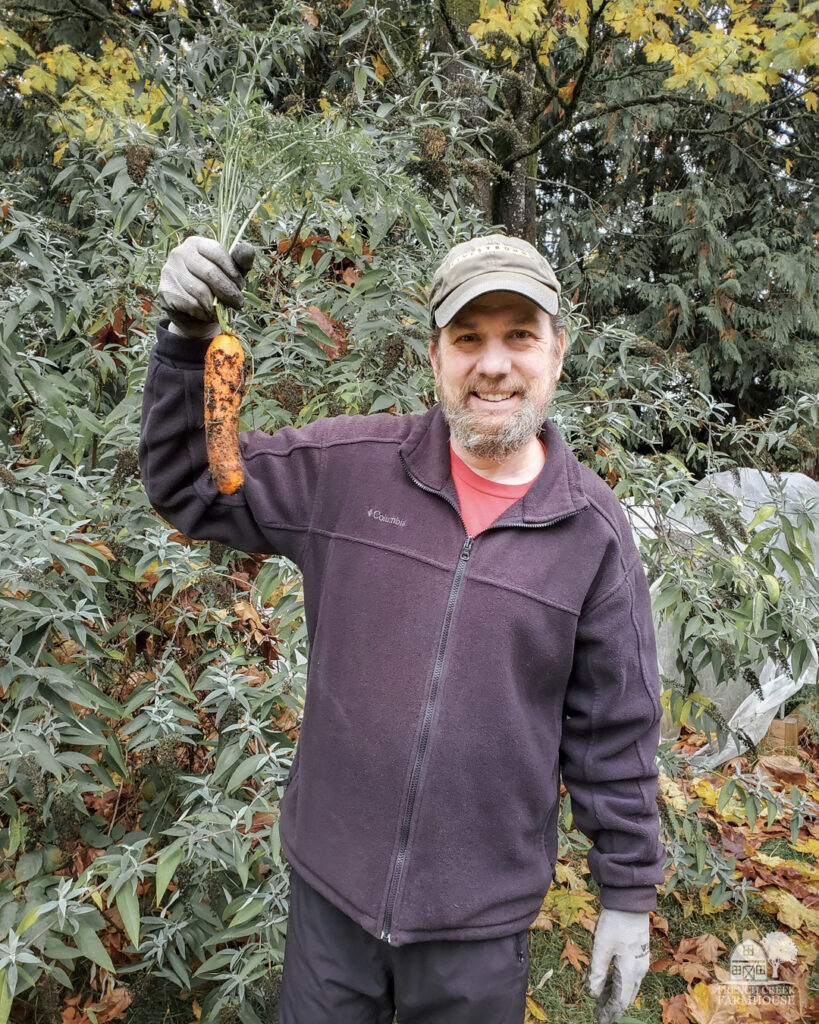 Vegetables to grow in winter including the sweetest carrots you've ever tasted!