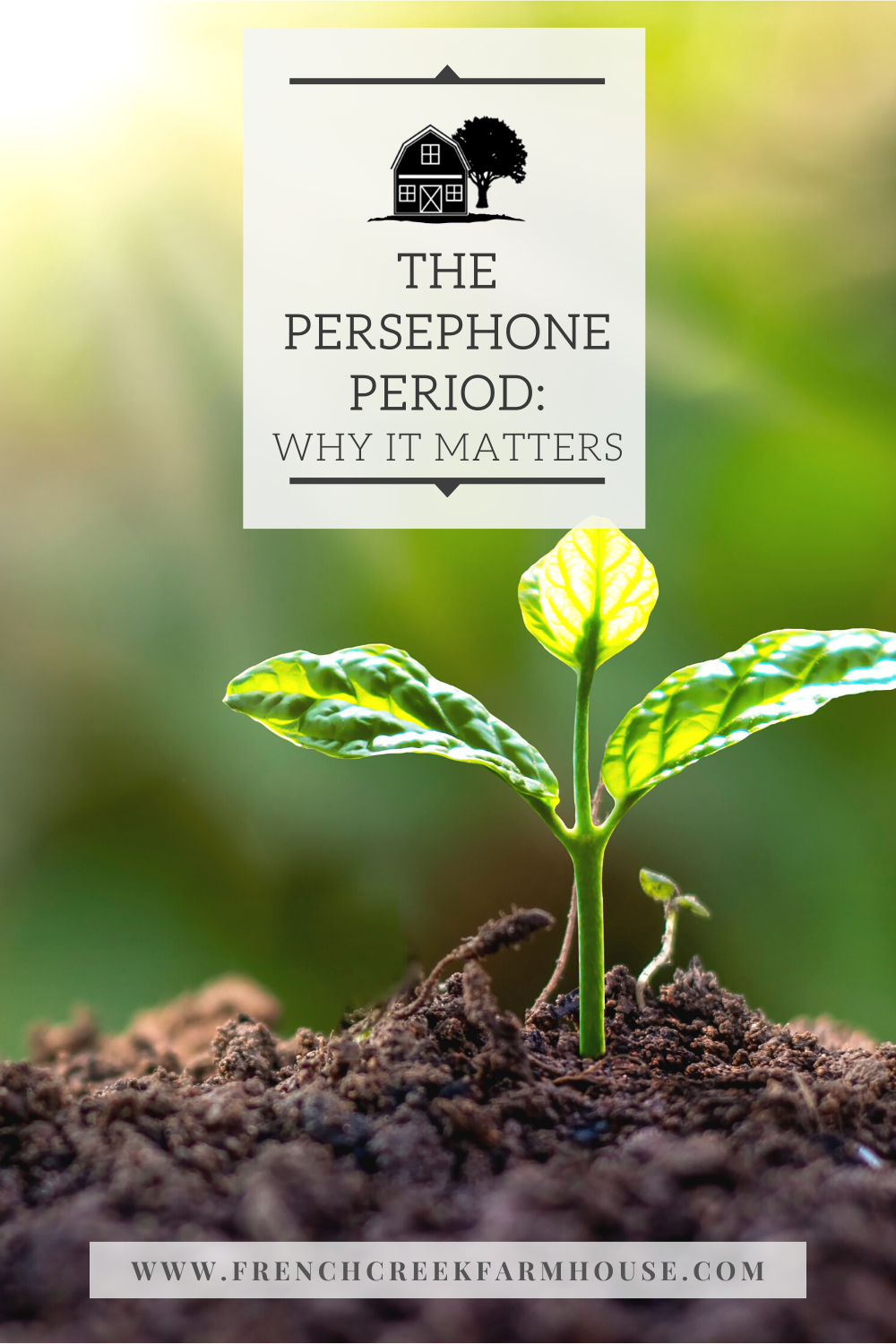 The Persephone Period and Why It Matters