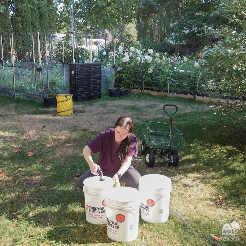 Five gallon buckets are the perfect containers for harvesting cut flowers and will last longer too